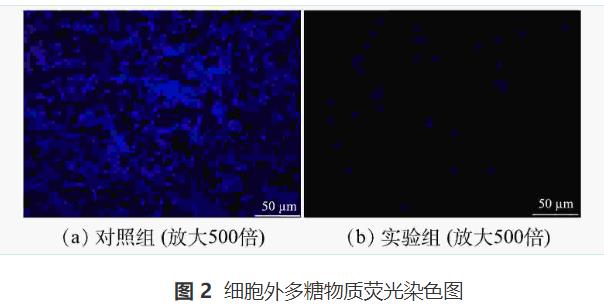 微生物絮凝剂对废水中木质纤维类污染物的絮凝机理(图7)