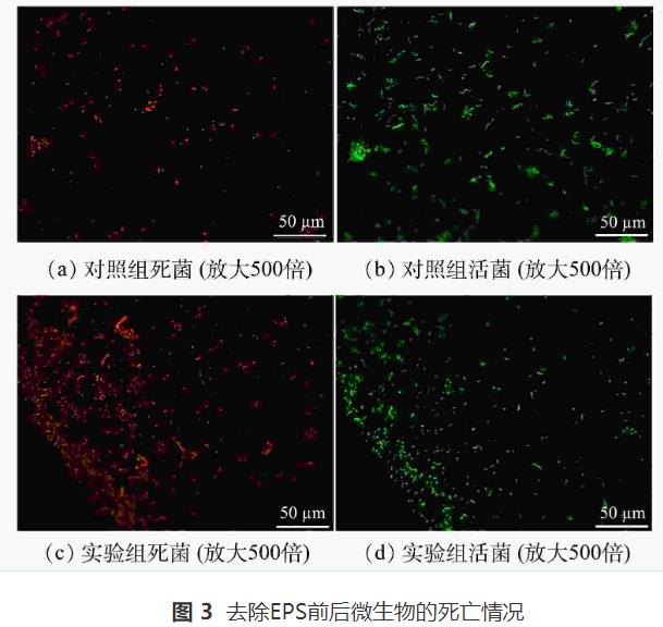微生物絮凝剂对废水中木质纤维类污染物的絮凝机理(图8)