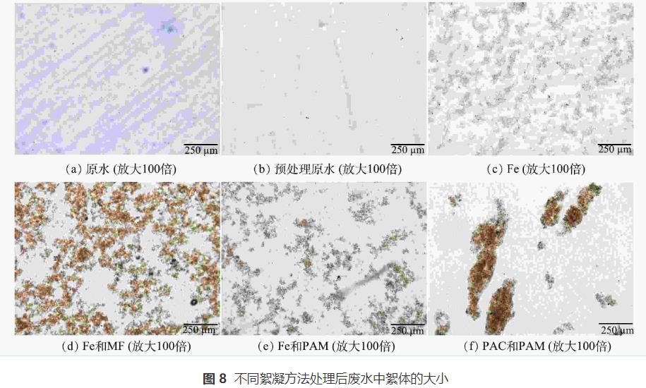 微生物絮凝剂对废水中木质纤维类污染物的絮凝机理(图15)