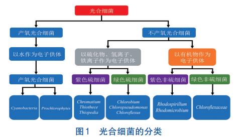 光合细菌废水资源化再利用工艺(图1)