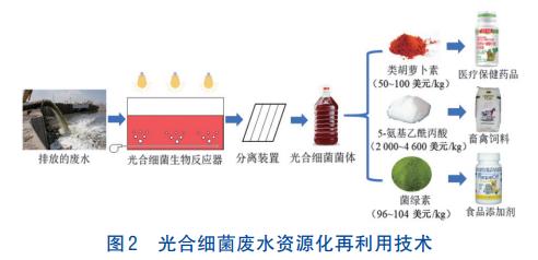 光合细菌废水资源化再利用工艺(图2)