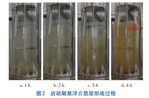 新型悬浮介质层深度除磷技术(图2)