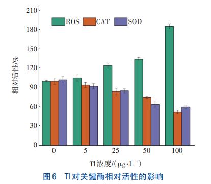 重金属铊对后置缺氧反硝化技术的影响(图6)