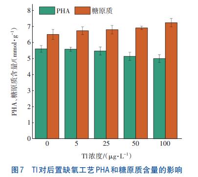 重金属铊对后置缺氧反硝化技术的影响(图7)