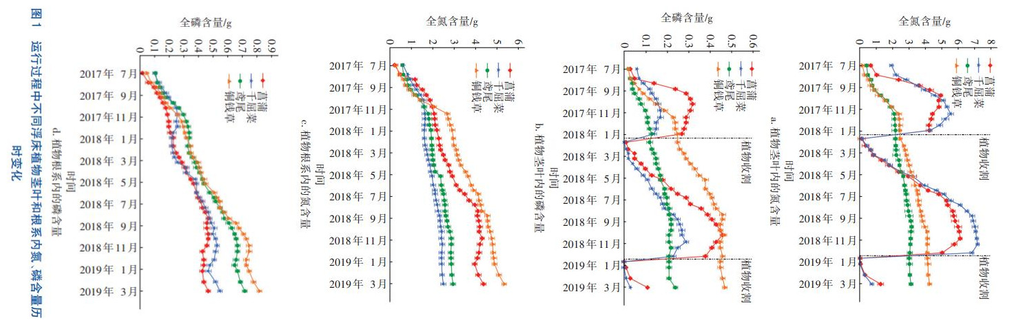 浮床植物生物炭对重金属的吸附(图1)