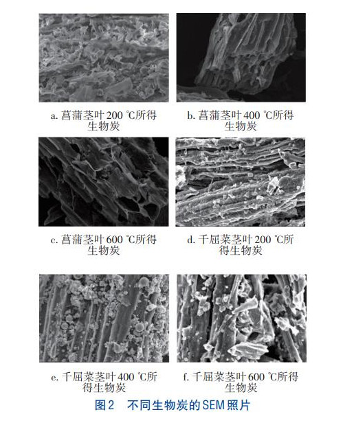 浮床植物生物炭对重金属的吸附(图3)