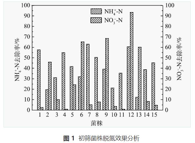 异养硝化-好氧反硝化菌对养殖废水的处理效果(图1)