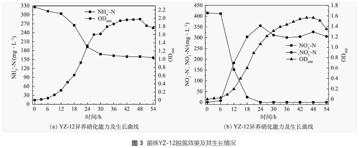 异养硝化-好氧反硝化菌对养殖废水的处理效果(图3)