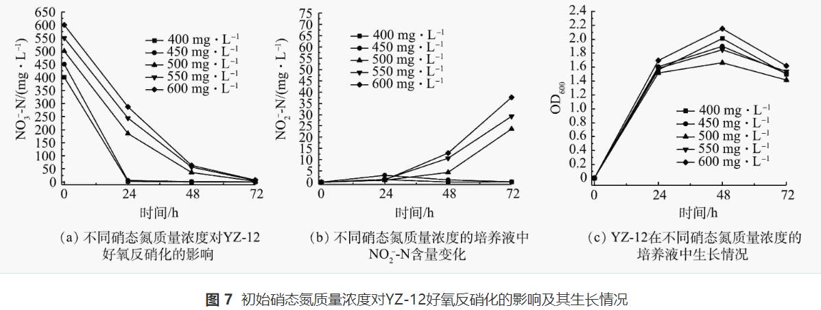异养硝化-好氧反硝化菌对养殖废水的处理效果(图7)