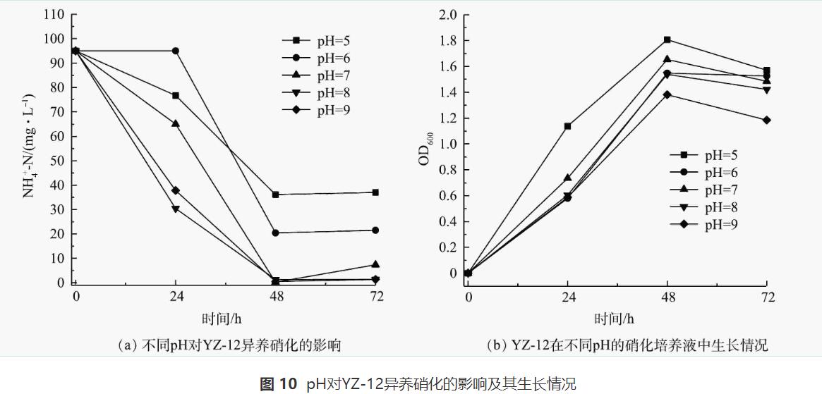 异养硝化-好氧反硝化菌对养殖废水的处理效果(图10)
