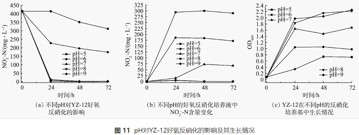 异养硝化-好氧反硝化菌对养殖废水的处理效果(图11)