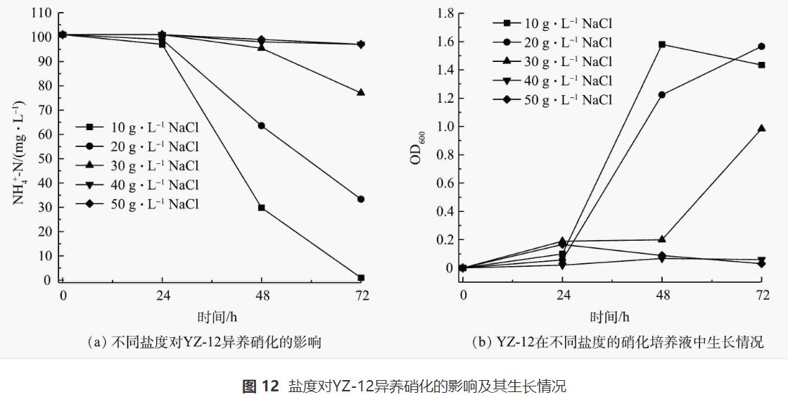 异养硝化-好氧反硝化菌对养殖废水的处理效果(图12)
