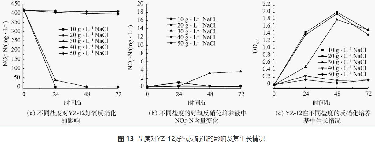 异养硝化-好氧反硝化菌对养殖废水的处理效果(图13)