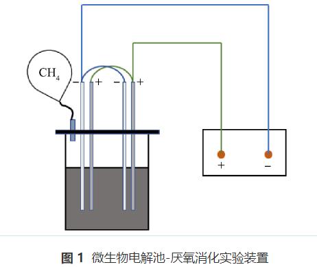 污泥炭强化微生物电解池提高污泥厌氧消化甲烷产率(图3)