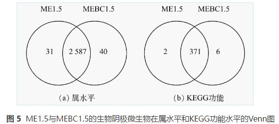 污泥炭强化微生物电解池提高污泥厌氧消化甲烷产率(图8)