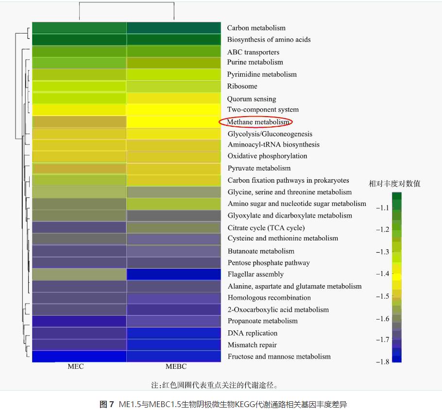 污泥炭强化微生物电解池提高污泥厌氧消化甲烷产率(图10)
