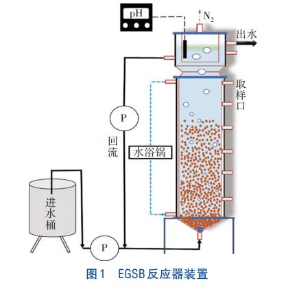 温度对Anammox-HAP脱氮性能及污泥特性的影响(图1)