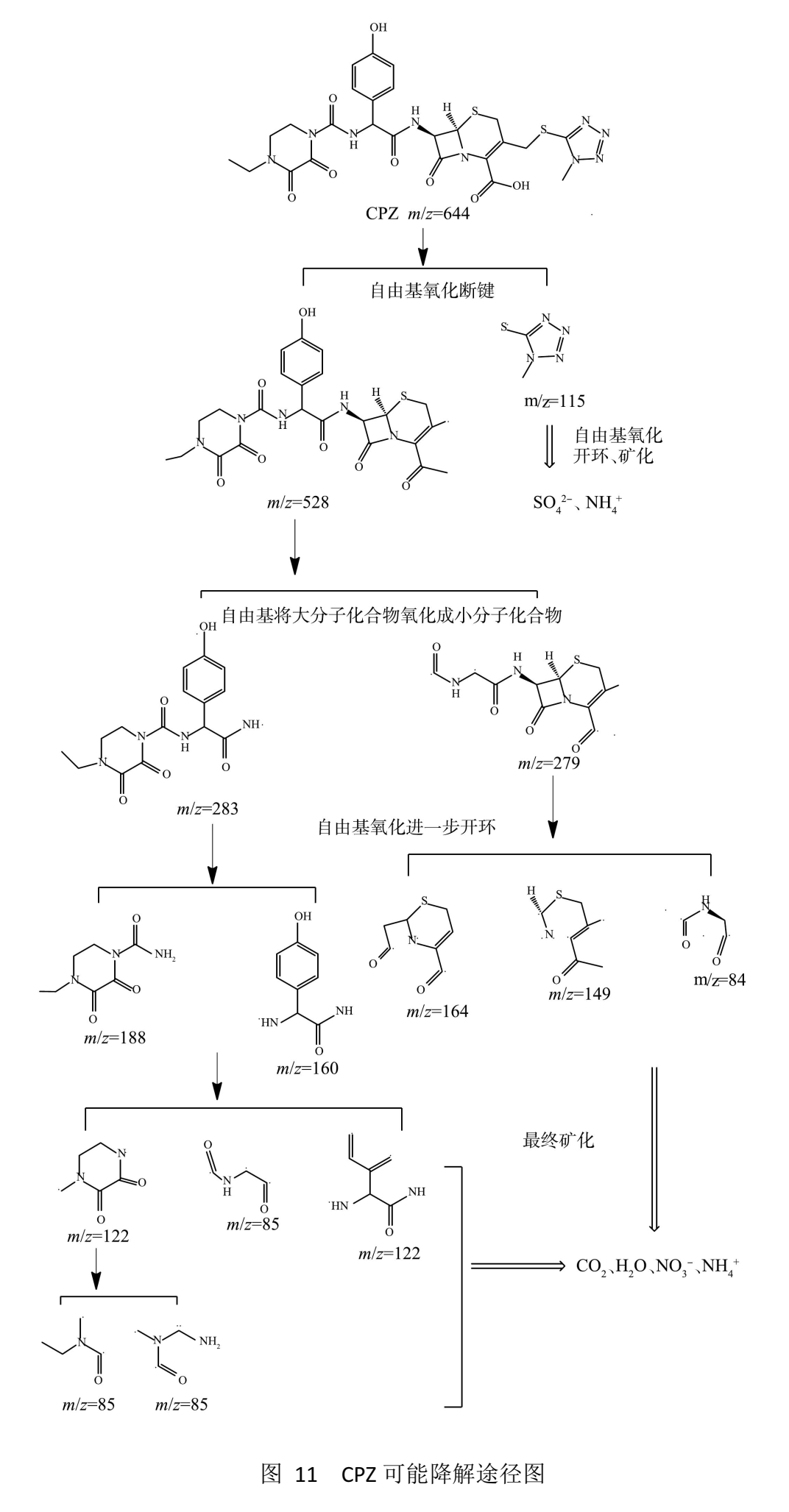 类芬顿降解废水中头孢哌酮工艺(图11)