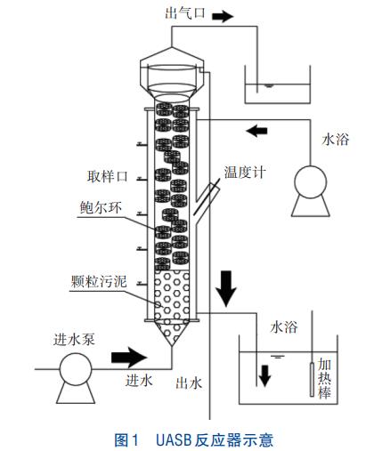 乙酸钠在亚硝态氮充足下对厌氧氨氧化/反硝化的影响(图1)