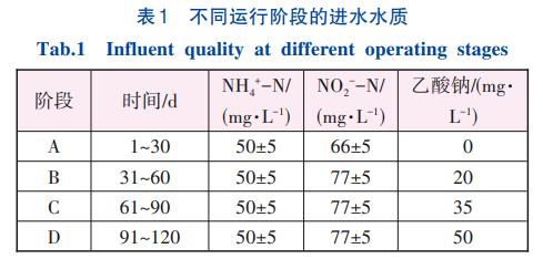 乙酸钠在亚硝态氮充足下对厌氧氨氧化/反硝化的影响(图2)