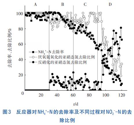 乙酸钠在亚硝态氮充足下对厌氧氨氧化/反硝化的影响(图6)
