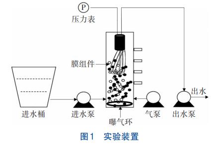 长期Hg(Ⅱ)暴露对断流CANON工艺恢复的影响(图1)
