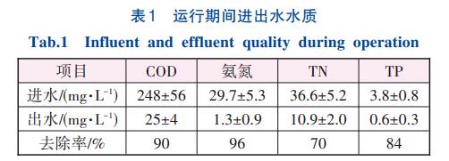 MABR耦合A2O污水处理工艺(图2)