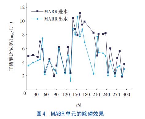 MABR耦合A2O污水处理工艺(图5)