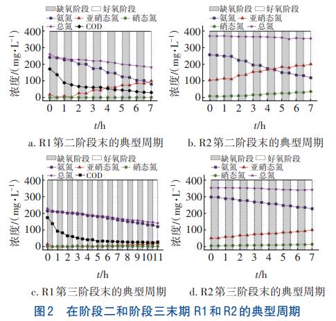 有机物对泥膜复合PNA-MBBR挂膜启动的影响(图3)