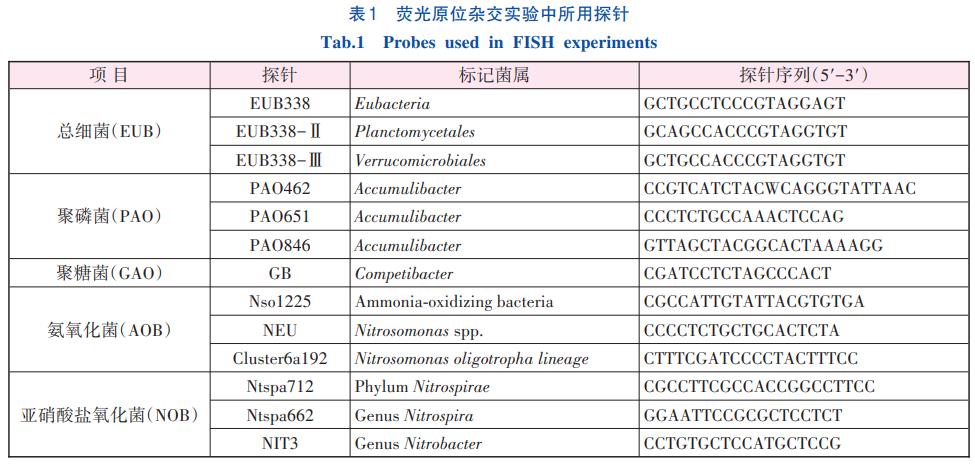 氧化沟型A2/O工艺脱氮除磷工艺(图3)