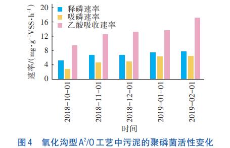 氧化沟型A2/O工艺脱氮除磷工艺(图7)