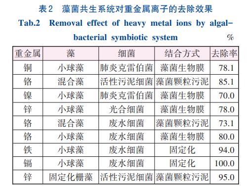 藻菌共生系统处理污水原理及影响(图4)