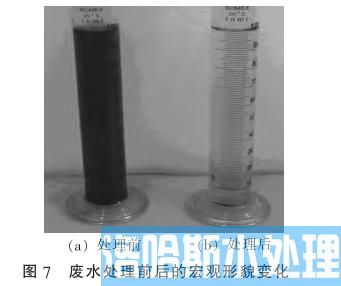 三维电极法处理焦化含油废水技术(图8)