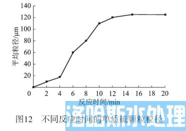 高浓度含硫废水资源化处理技术(图13)