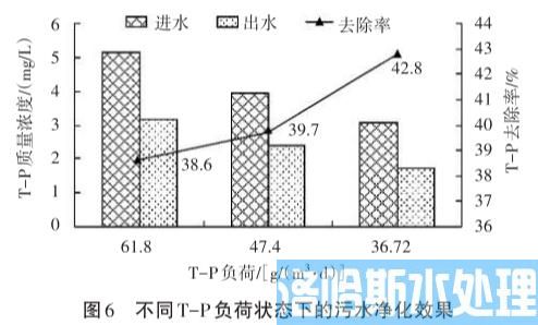 城市河涌污染及悬浮式膜法治理工艺(图6)