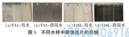 脱硫废水再生回用于海水循环冷却系统工艺(图9)