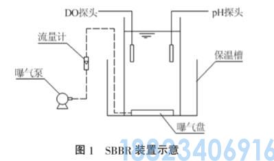 载体对短程硝化生物膜特性的影响(图1)