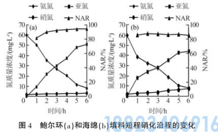 载体对短程硝化生物膜特性的影响(图4)