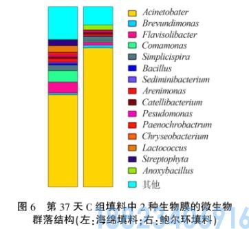 载体对短程硝化生物膜特性的影响(图6)