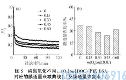 臭氧预氧化对蛋白类污染物超滤膜污染的影响(图5)