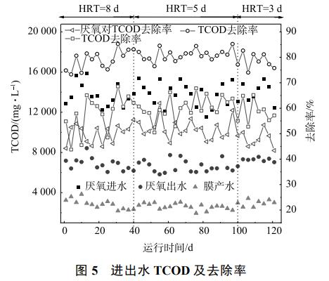 养猪废水处理中试厌氧膜生物反应器(图7)