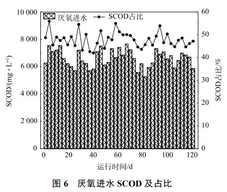 养猪废水处理中试厌氧膜生物反应器(图8)