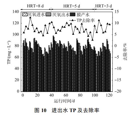 养猪废水处理中试厌氧膜生物反应器(图12)