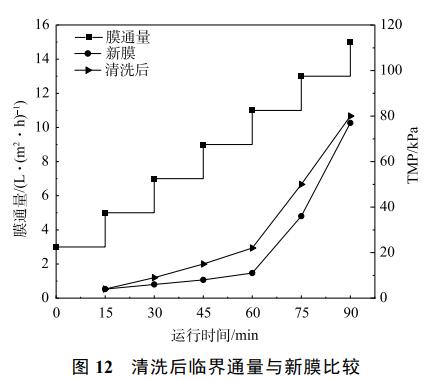 养猪废水处理中试厌氧膜生物反应器(图14)
