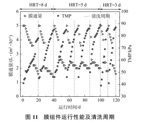 养猪废水处理中试厌氧膜生物反应器(图13)