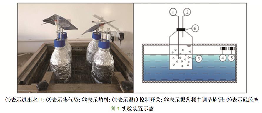 填料对ANAMMOX污泥活性恢复的影响(图3)