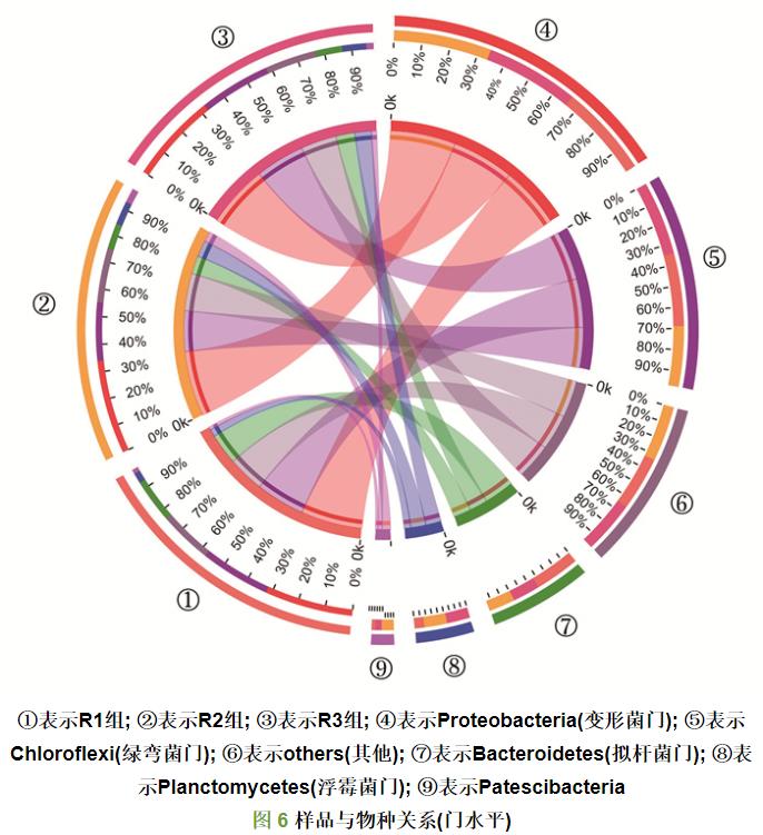 填料对ANAMMOX污泥活性恢复的影响(图9)
