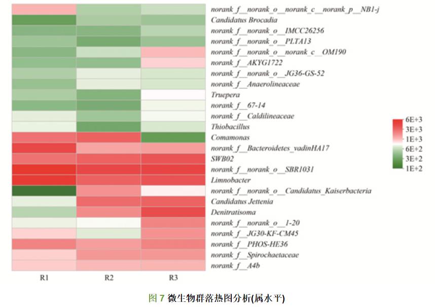 填料对ANAMMOX污泥活性恢复的影响(图11)