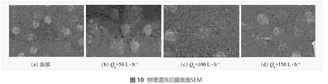 曝气对MBBR联合管式膜处理生活污水的影响(图15)