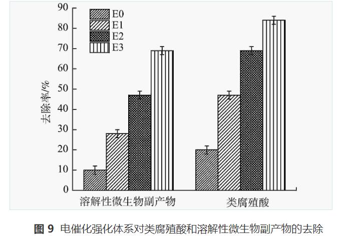 电催化强化对布洛芬的去除效果(图12)